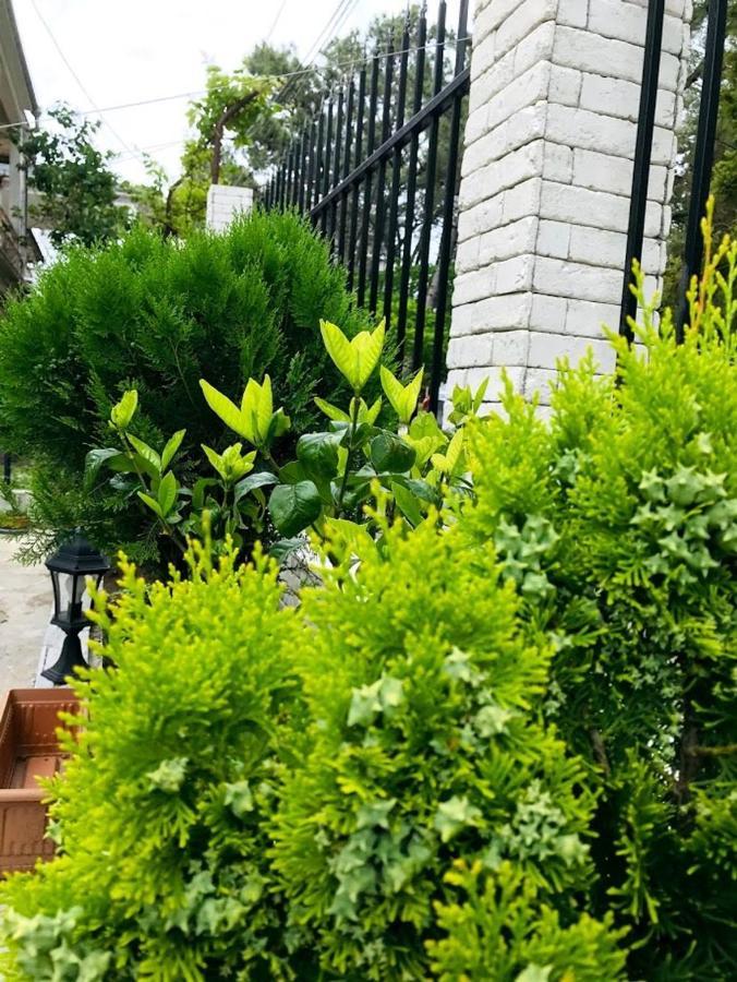 Gurya Hotel Kobuleti Exterior foto